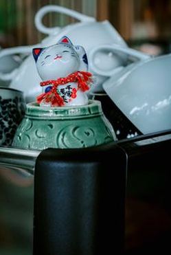 phiên bản mới May88